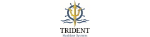 Trident Maritime Systems UK Limited